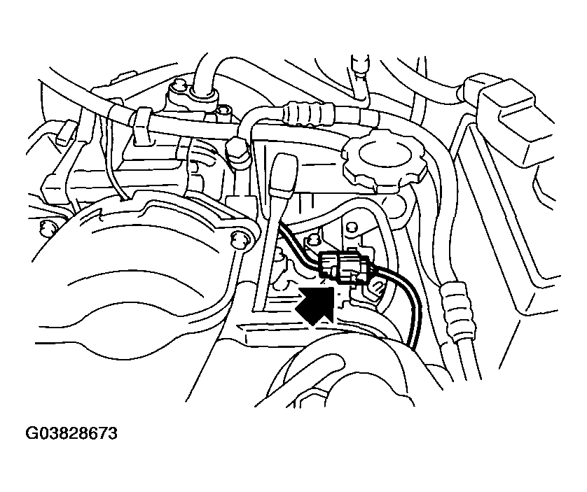 G03828673