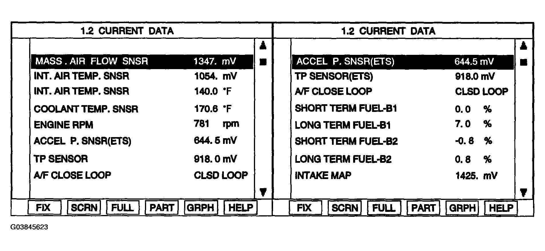 G03845623
