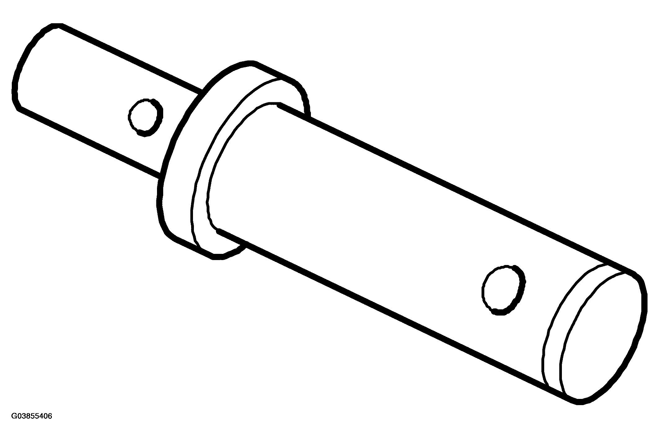 G03855406