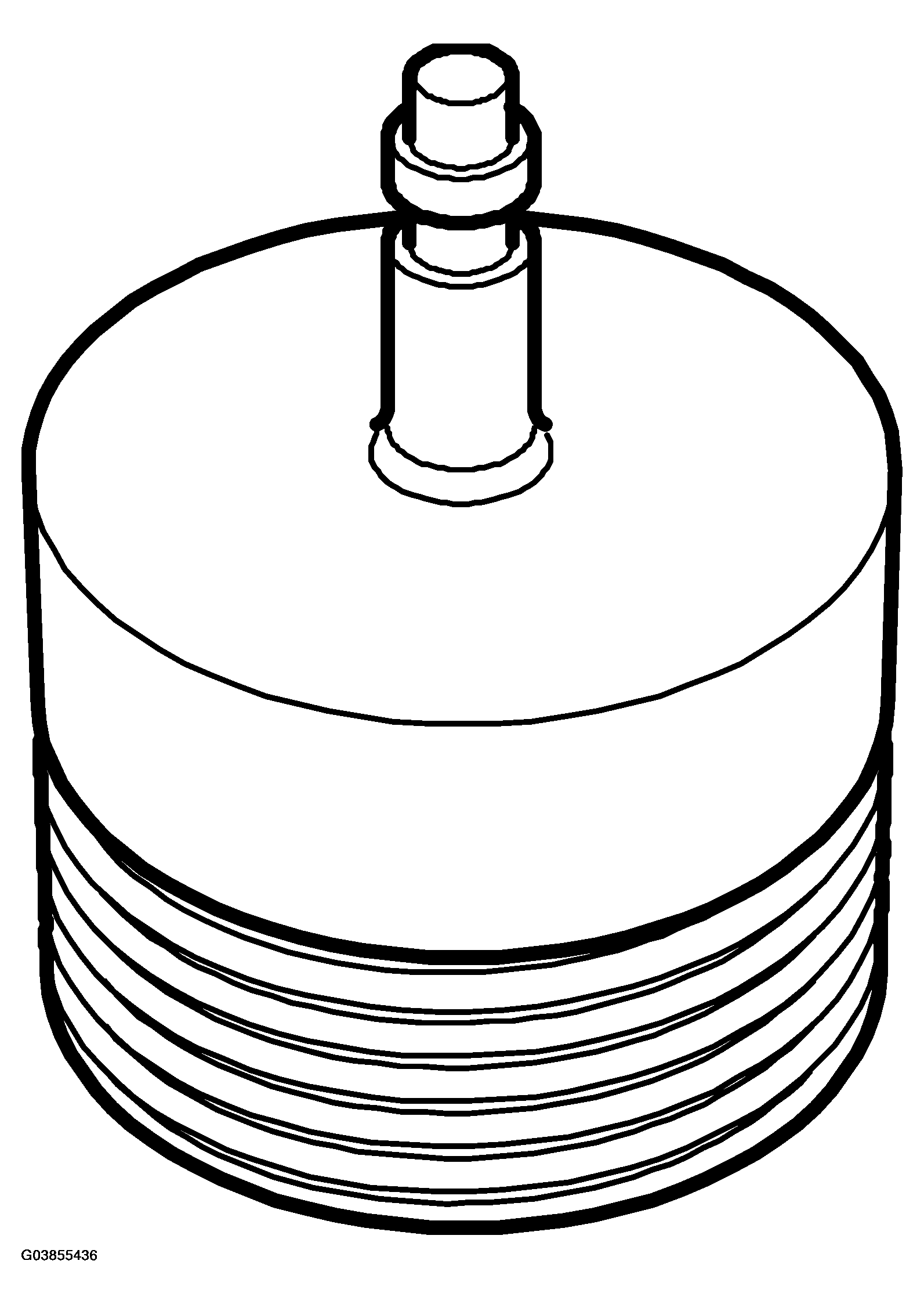 G03855436