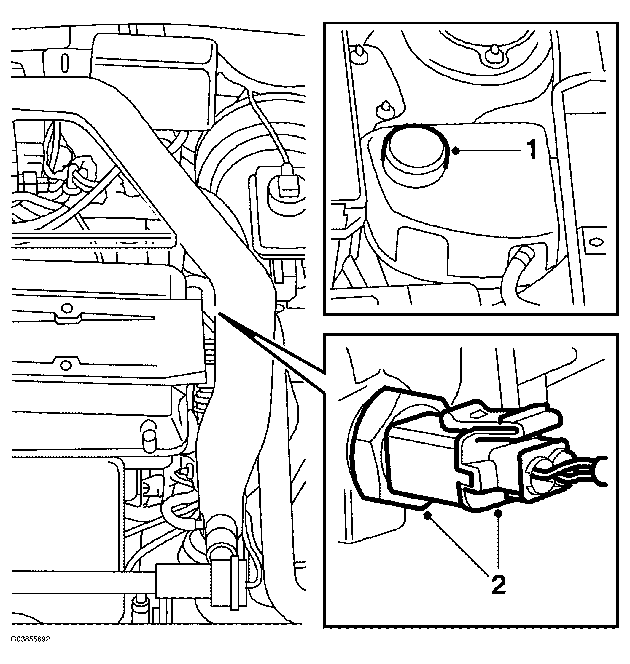 G03855692