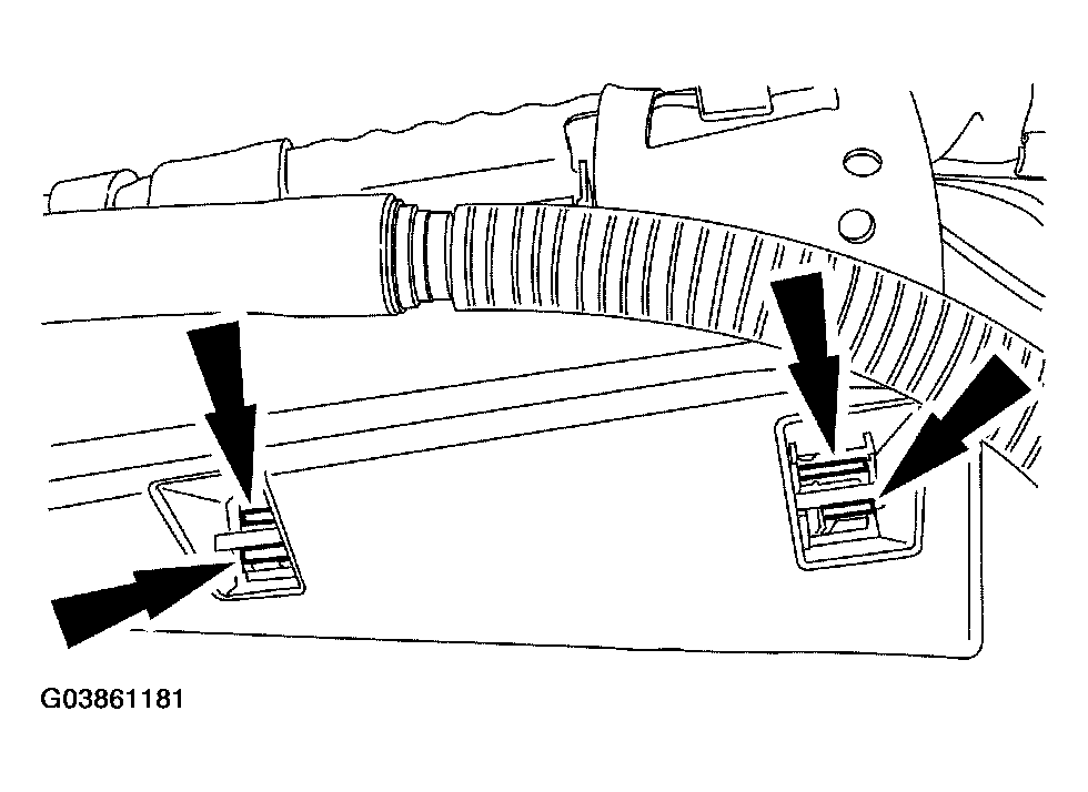 G03861181