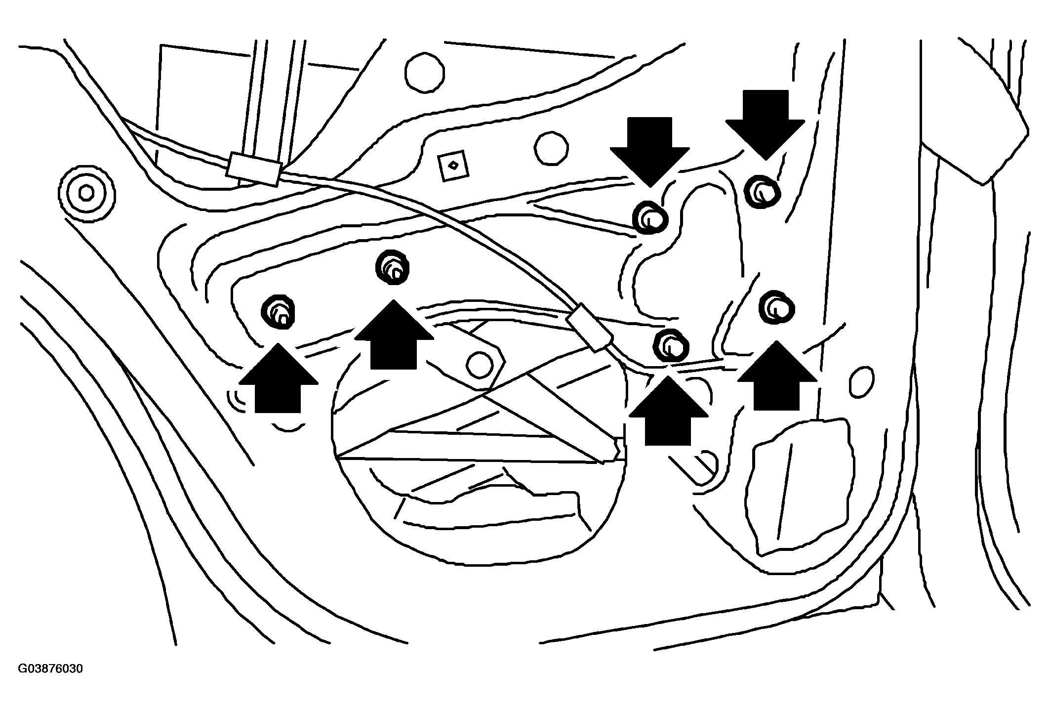 G03876030