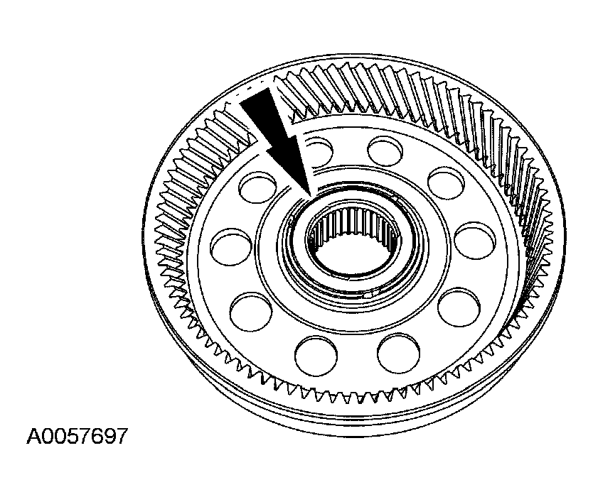 G03889494