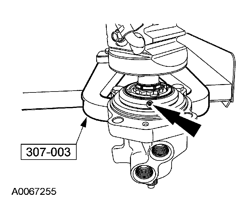G03905018
