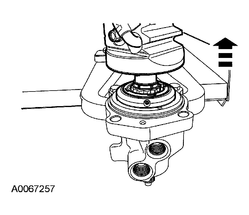 G03905020