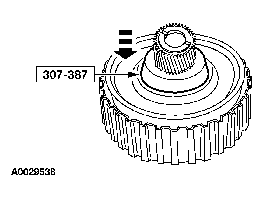 G03908543