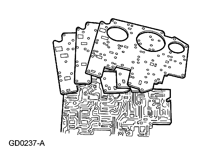 G03929916