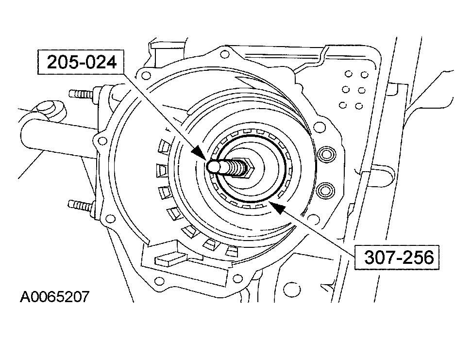 G03951584