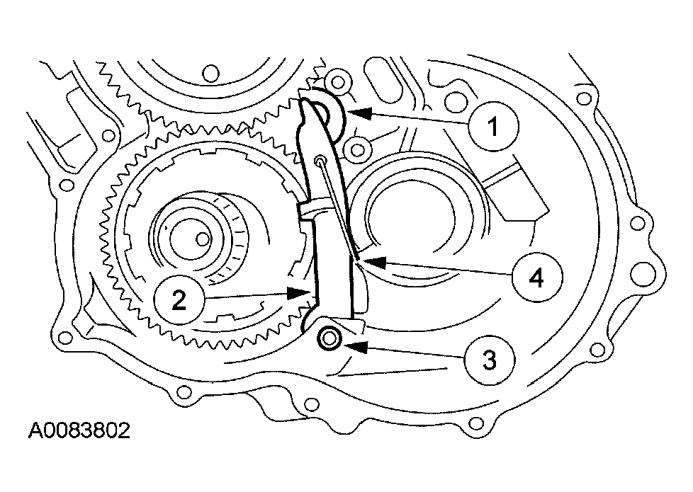 G03951592