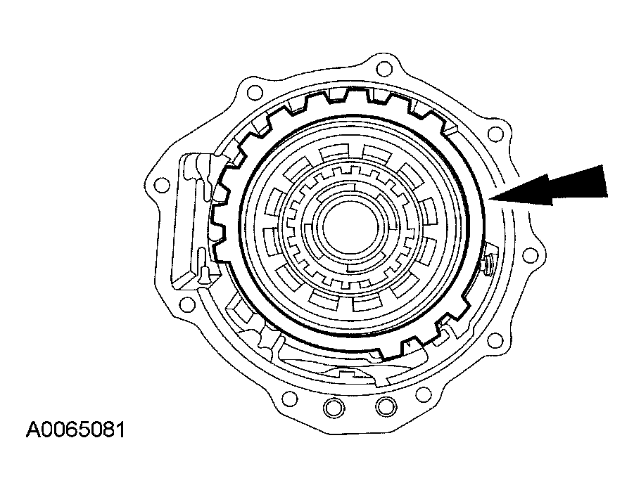 G03951635