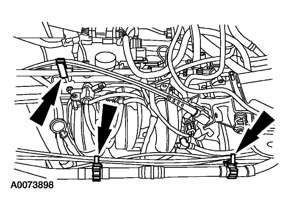 G03951926