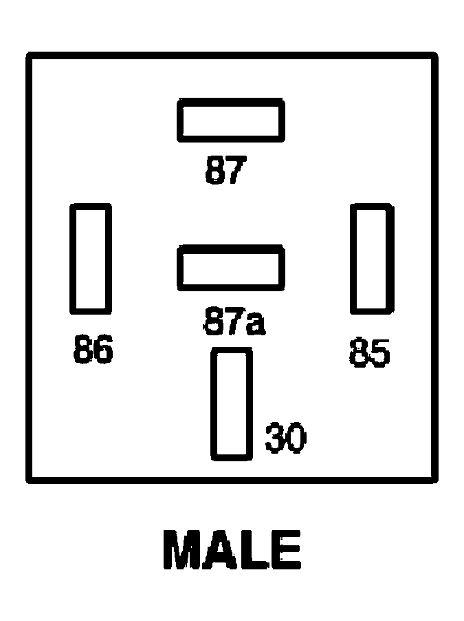 G03982601