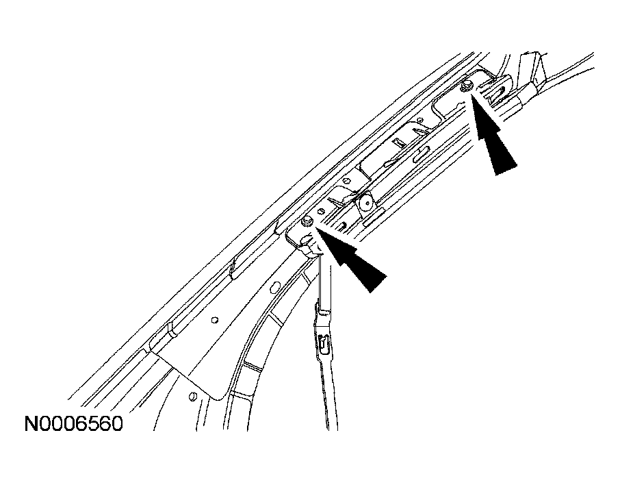 G03989917