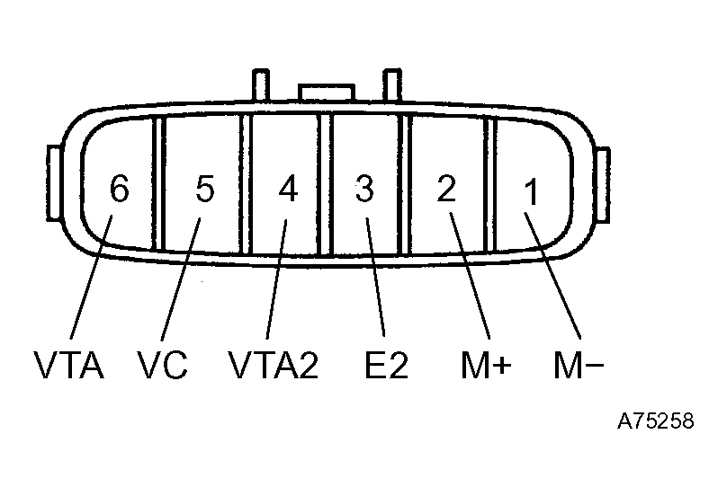 G04391300