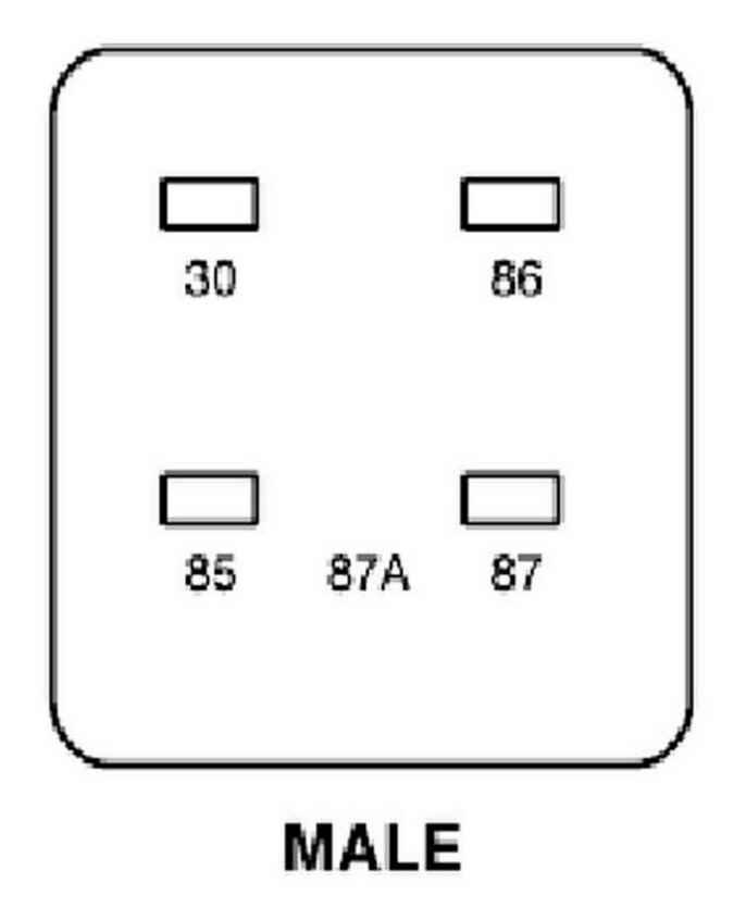 G04597238