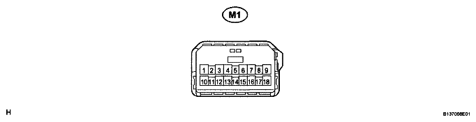 G04981061