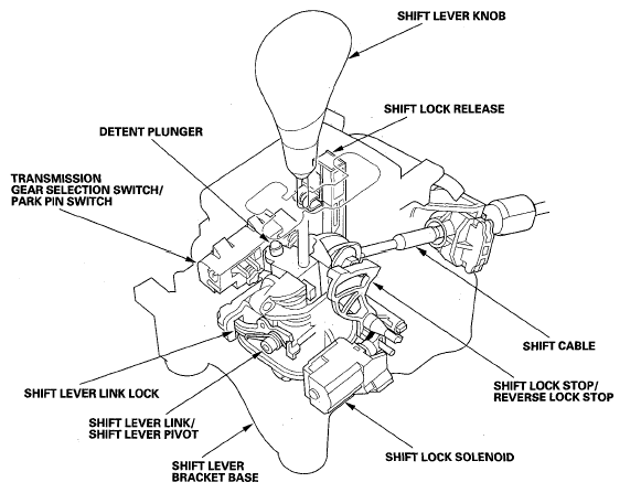 G05495441