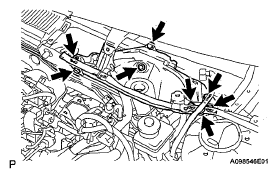 G05539248