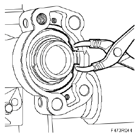 G05562569