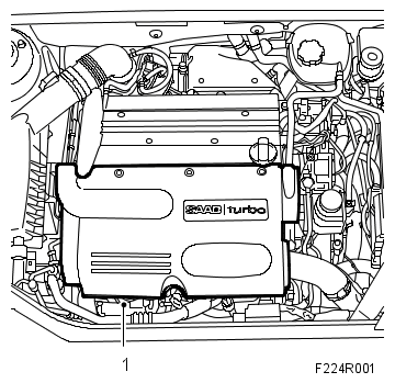 G06230233