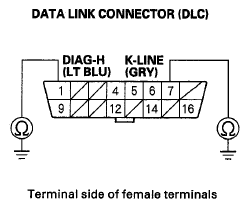 G06231733