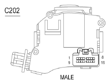 G06303855