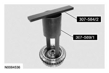 G06377225