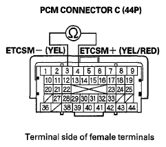 G06429420