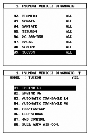 G06863144