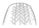 G06875135