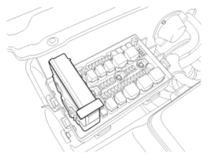 G07313334