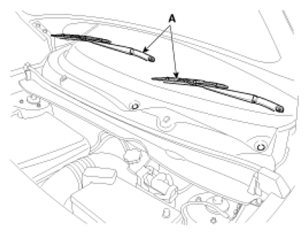 G07424886
