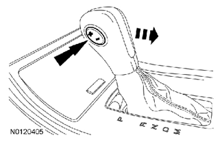G07428253