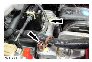 G07931175