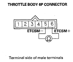 G08059539