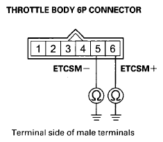 G08069636