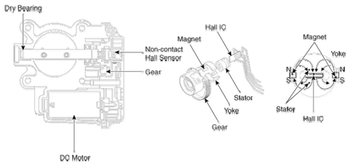 G08331021