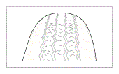 G08830558