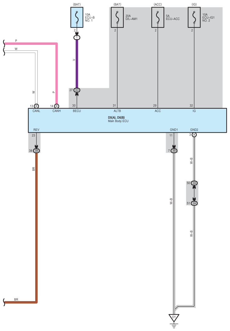 G09095537