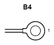 G09106036