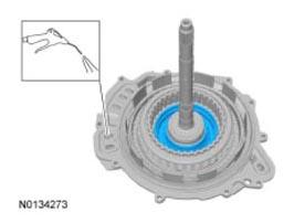 G09731581