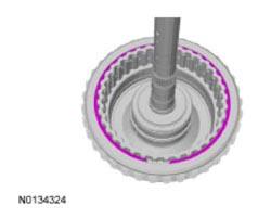 G09731597