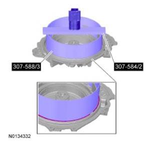 G09731620