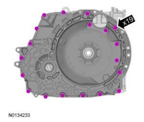 G09731681