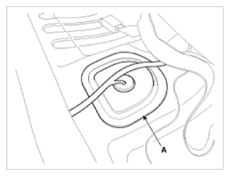 G09745685