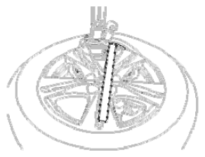 G09777904