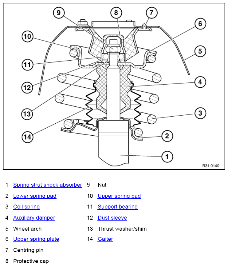 G10019918