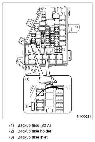 G10261991