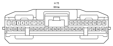 G10301241